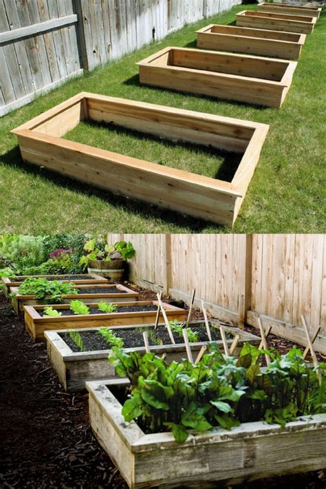 inexpensive raised garden boxes